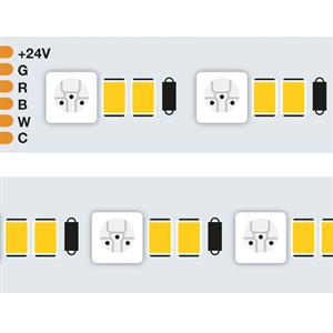 StripLED 24V RGB+CCt 28,8W 1600lm/mt 60led/mt+120led/mt(Bianco) IP20 mt5