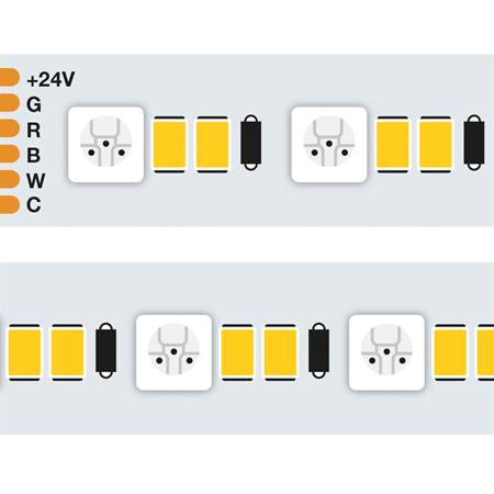 StripLED 24V RGB+CCt 28,8W 1600lm/mt 60led/mt+120led/mt(Bianco) IP20 mt5