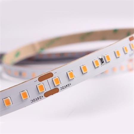 StripLED 24V 14,4W per BANCO MACELLERIA colore ROSA 3100K 140led/mt IP20 mt5