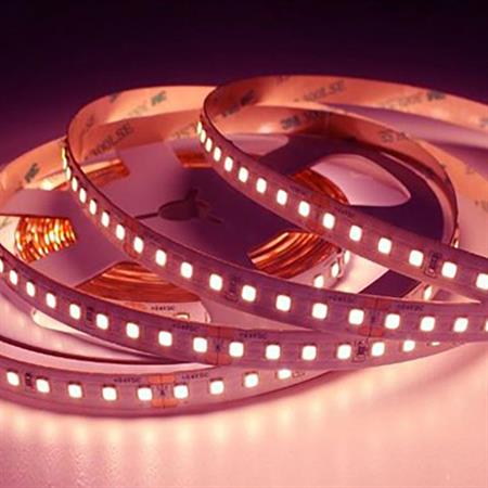 StripLED 24V 14,4W per BANCO MACELLERIA colore ROSA 3100K 140led/mt IP20 mt5