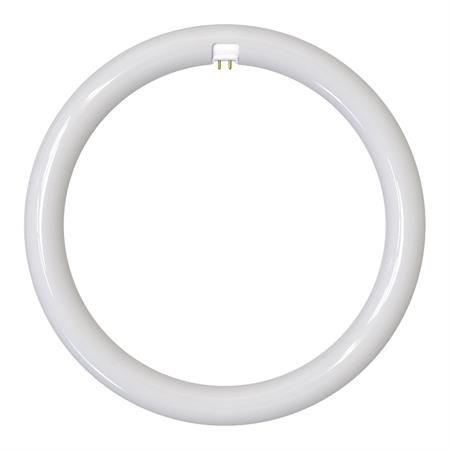 LED Circolina G10q 19W CCT 2200lm dm.300mm